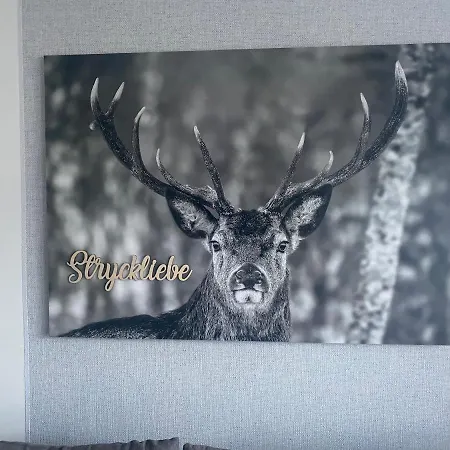 Stryckliebe Apartment Willingen (Upland)