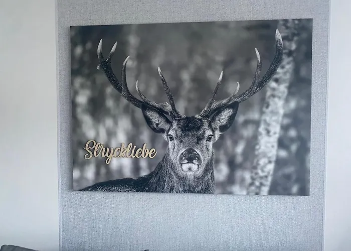 Stryckliebe Lägenhet Willingen (Upland)